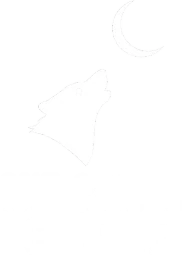 One Chaptr Group logo